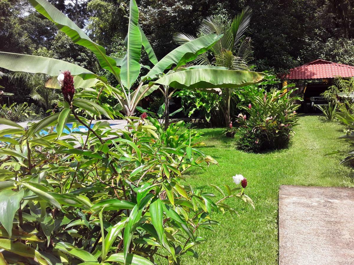 Villa Sevilla Big Creek Exterior foto
